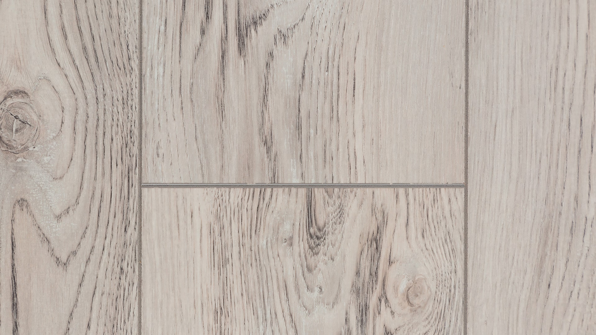 Сосна Сиена