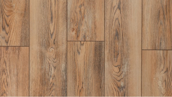 Вишня Контарини