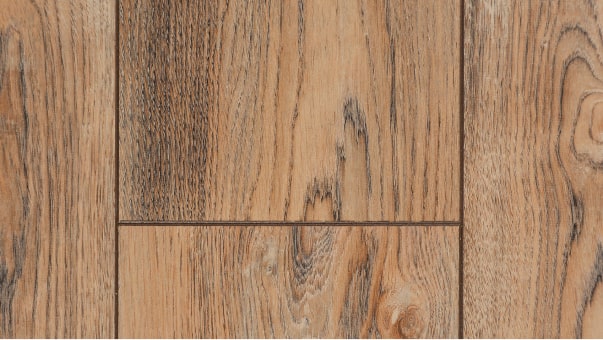 Вишня Контарини