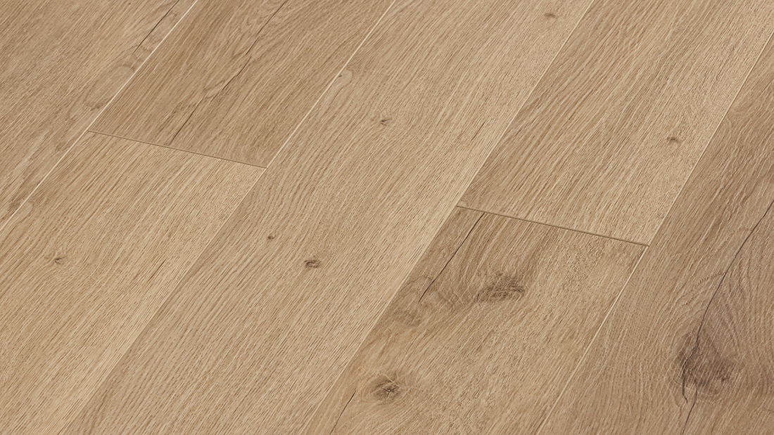 Дуб Салентино 300