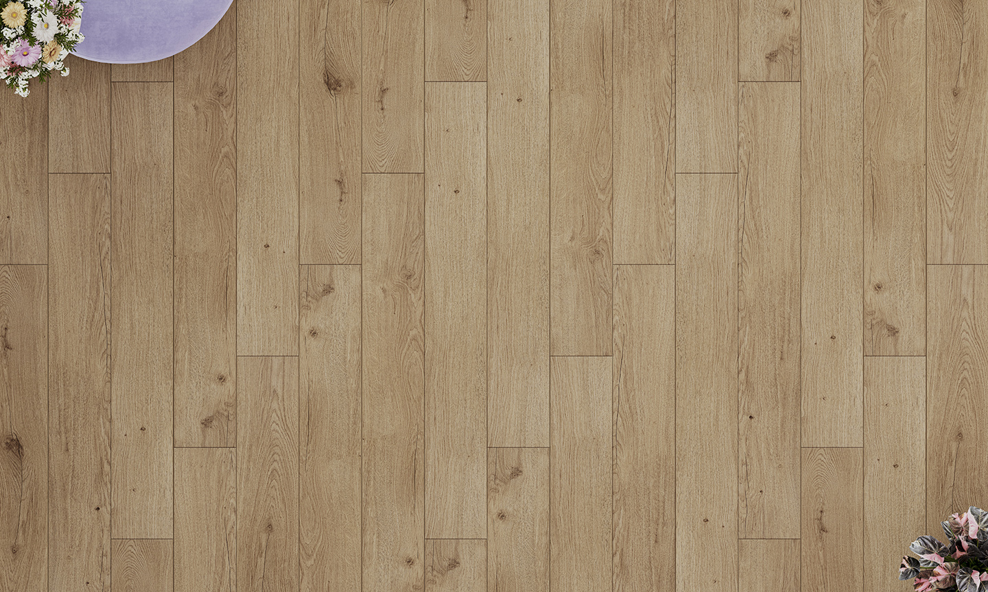 Дуб Салентино 300