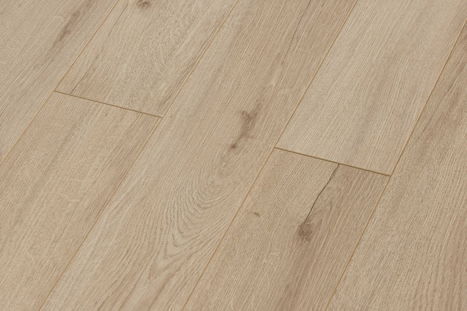 Дуб Альбаро