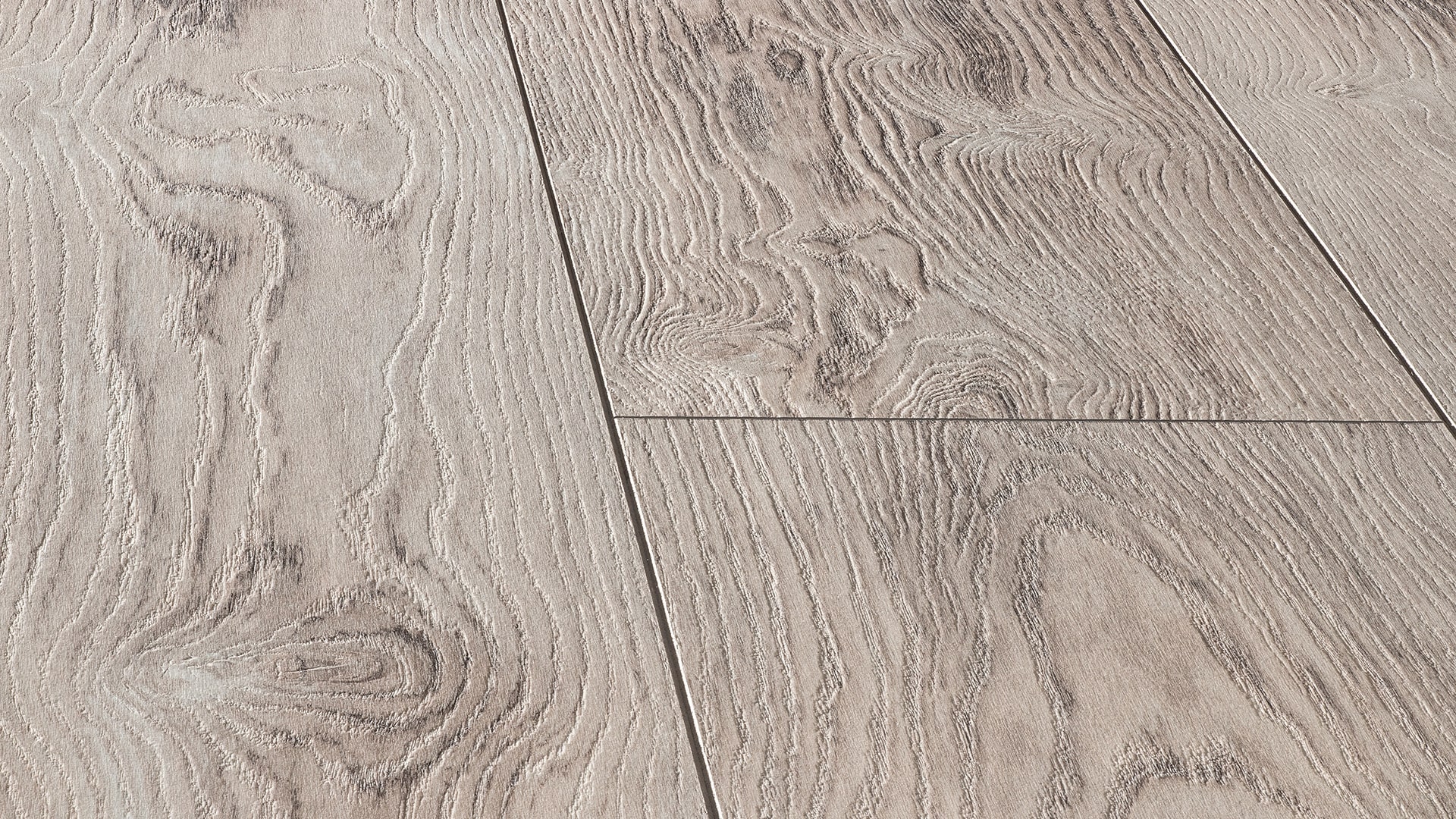 Сосна Сиена