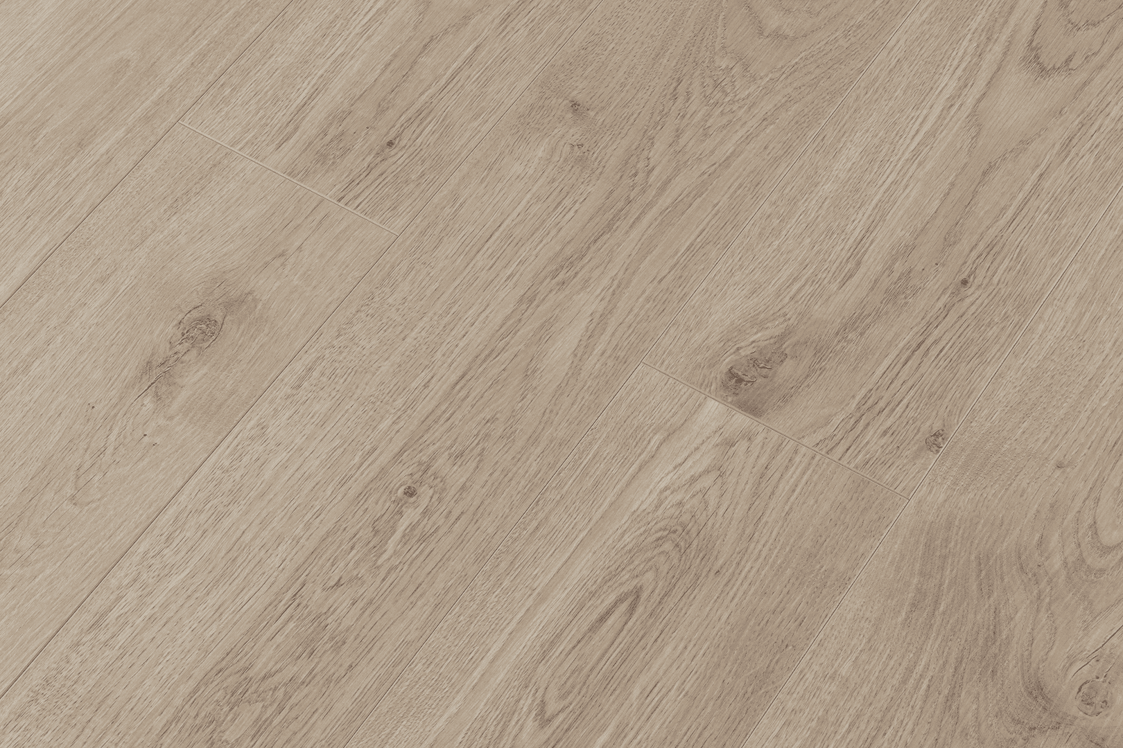 Дуб Каллисто