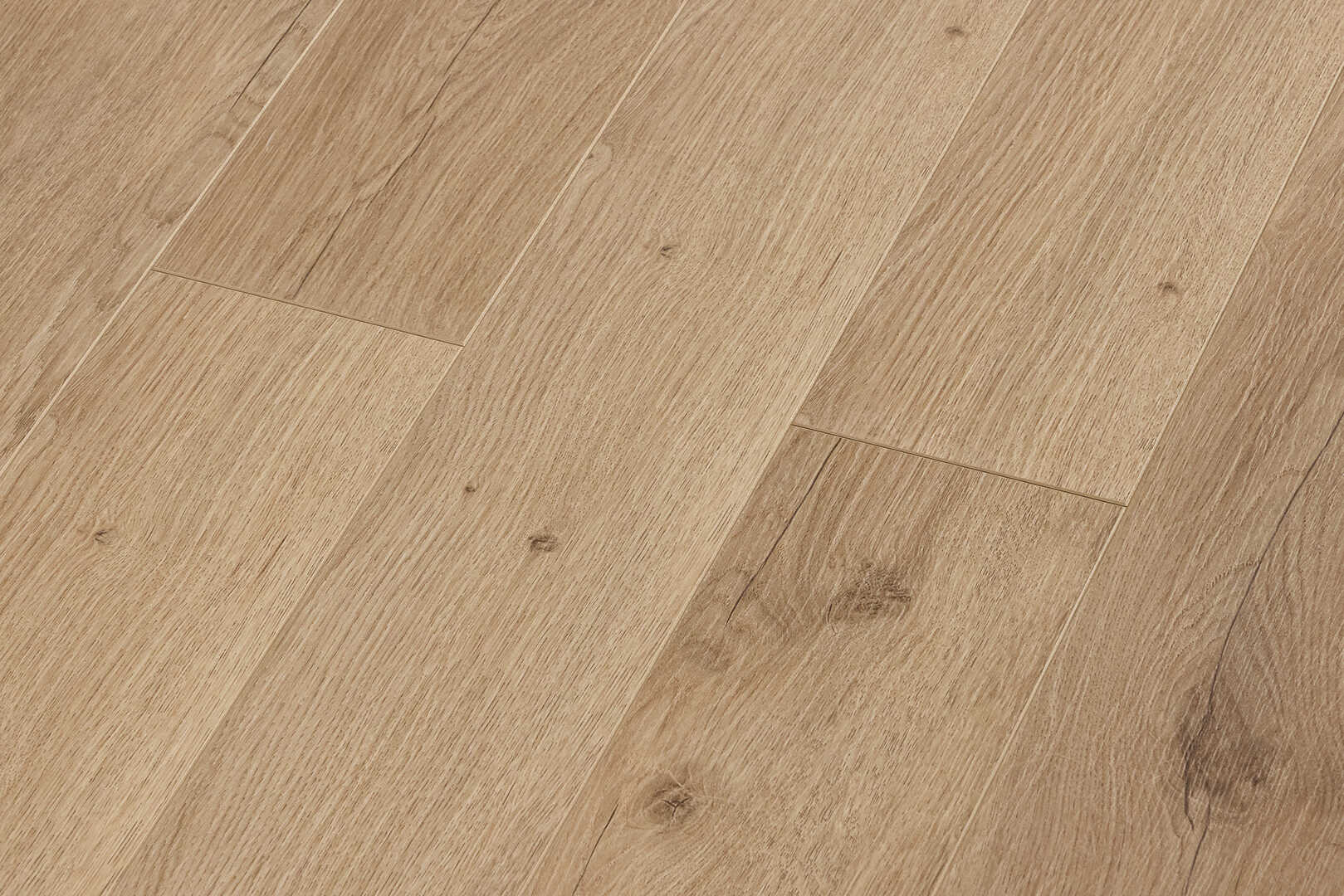 Дуб Салентино