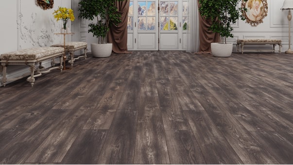 Тис Амальфи