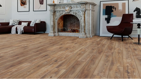 Вишня Контарини