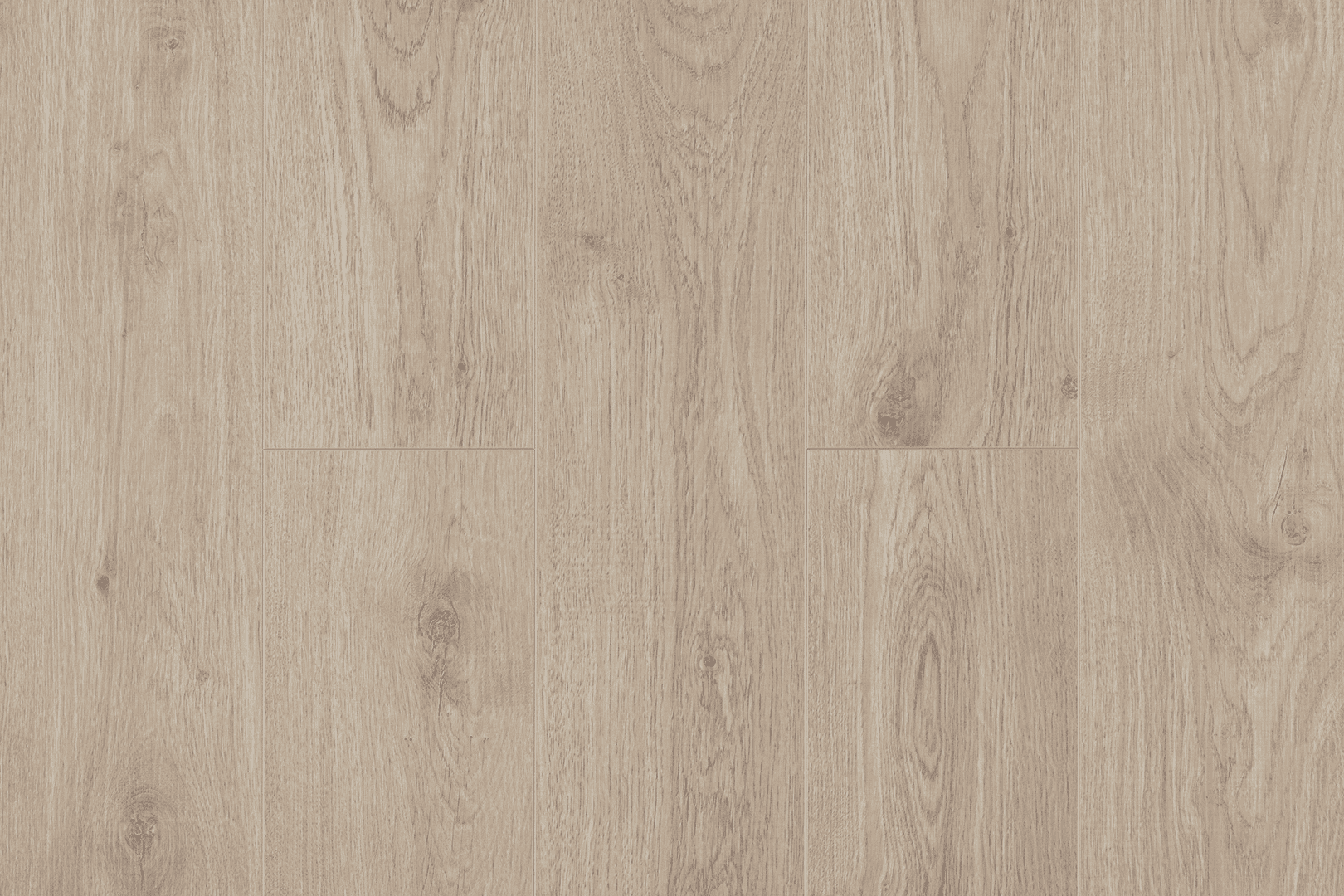 Дуб Каллисто