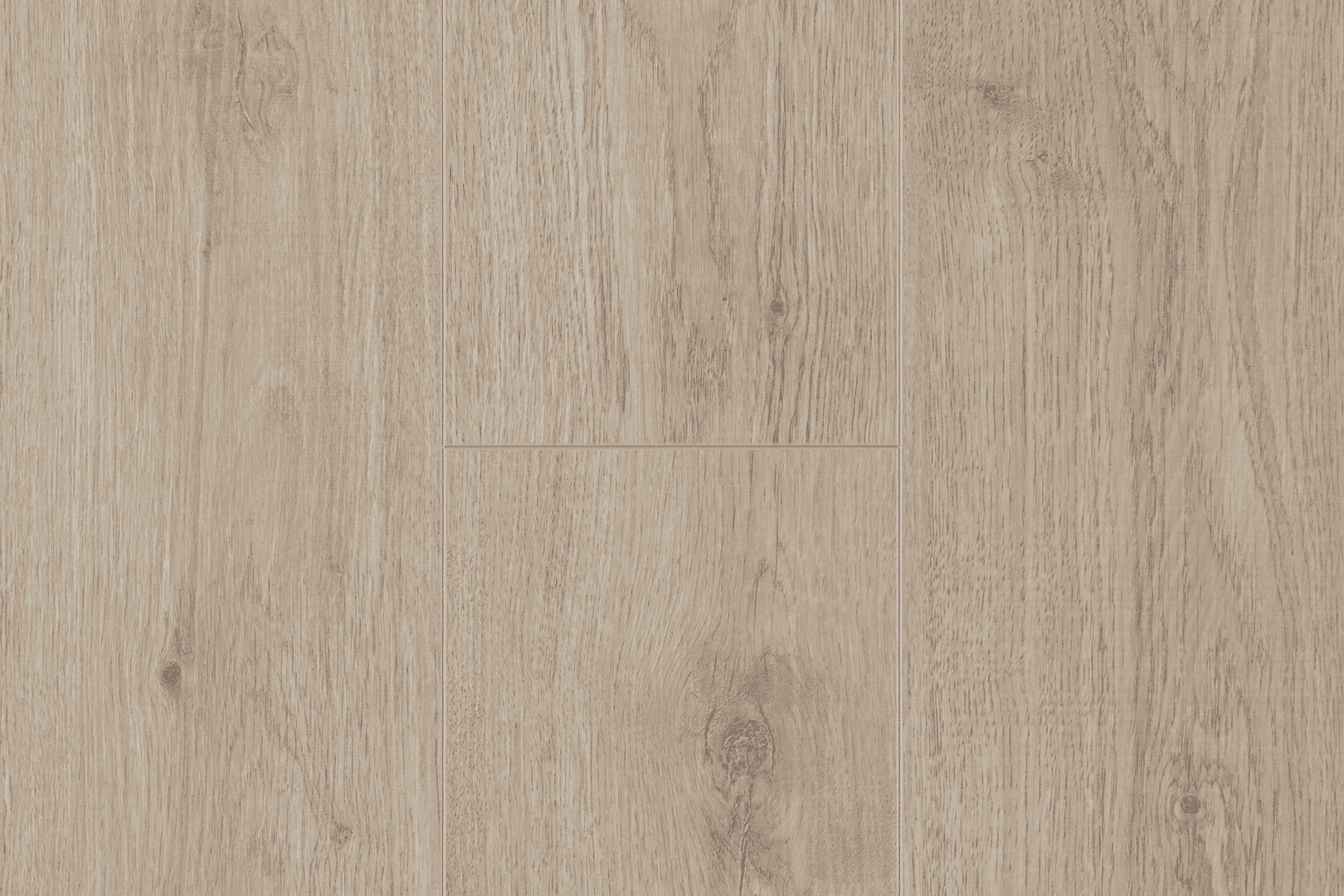 Дуб Каллисто