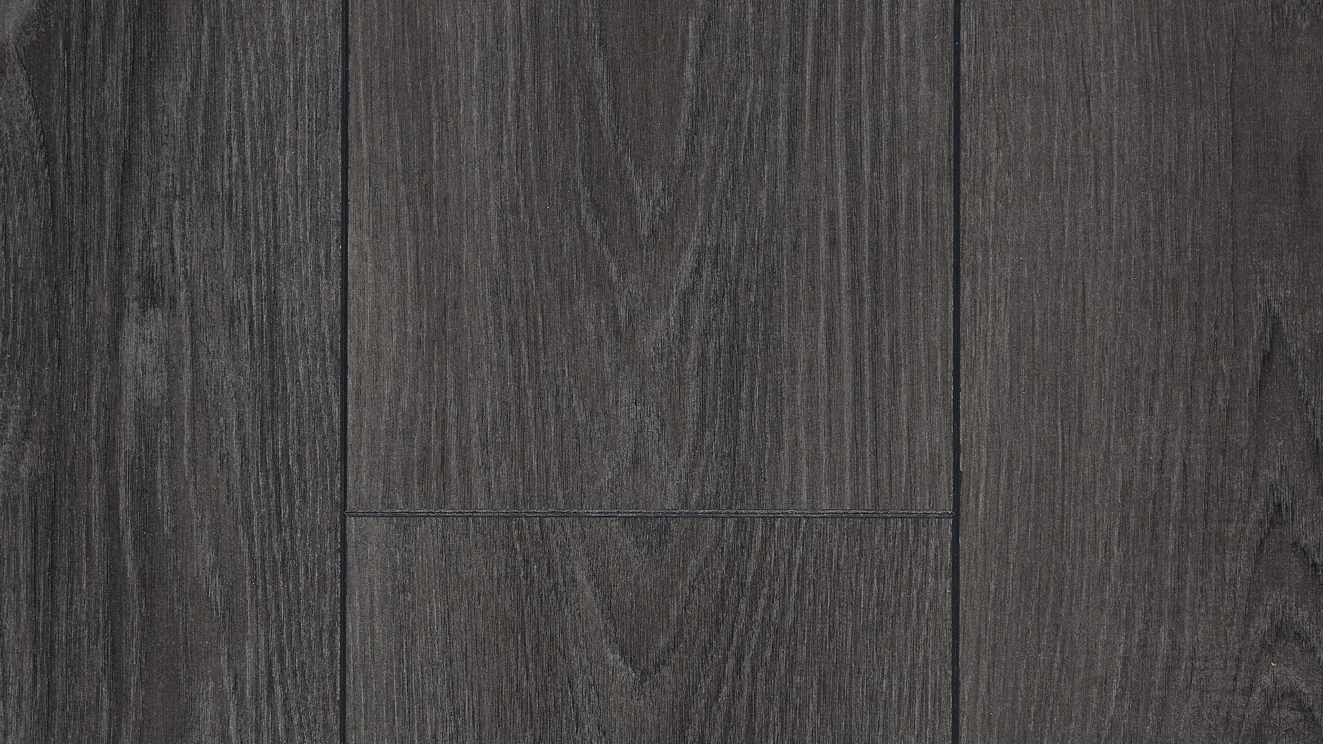 Сосна Мессина