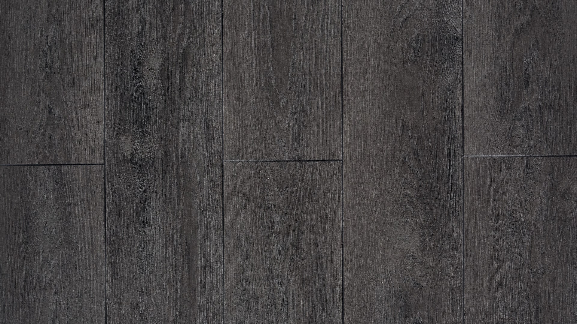 Сосна Мессина