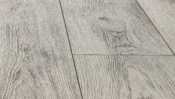 Клен Модена