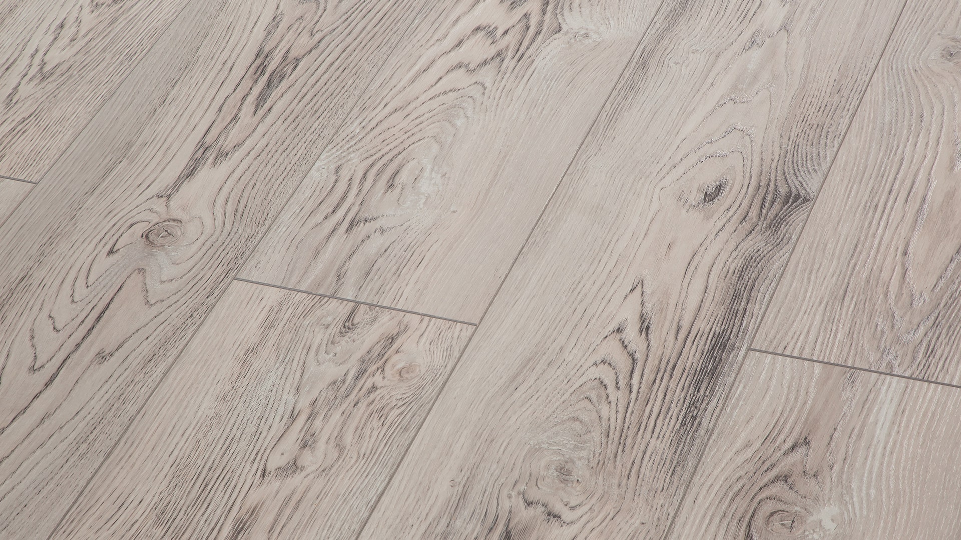 Сосна Сиена