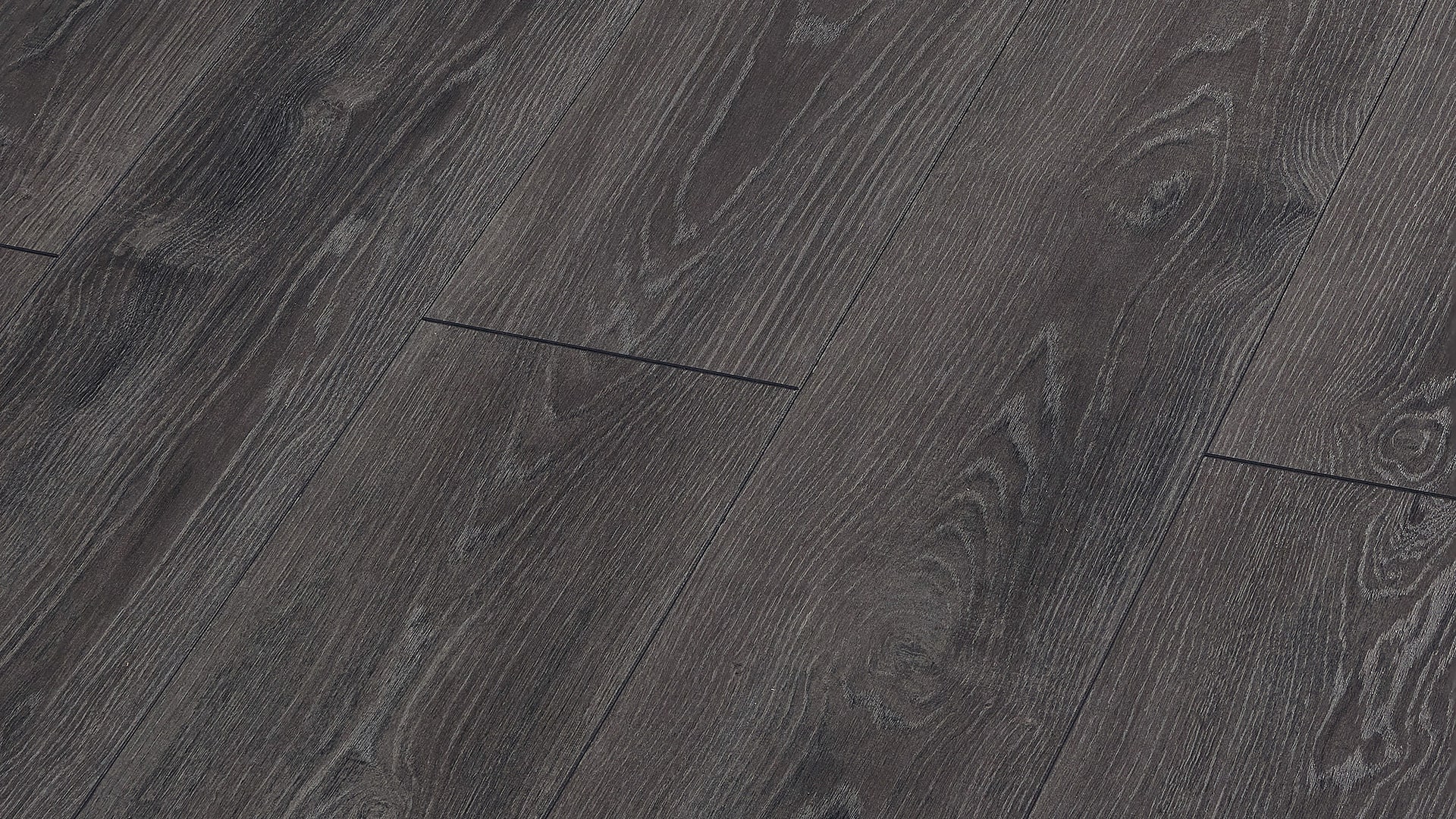 Сосна Мессина