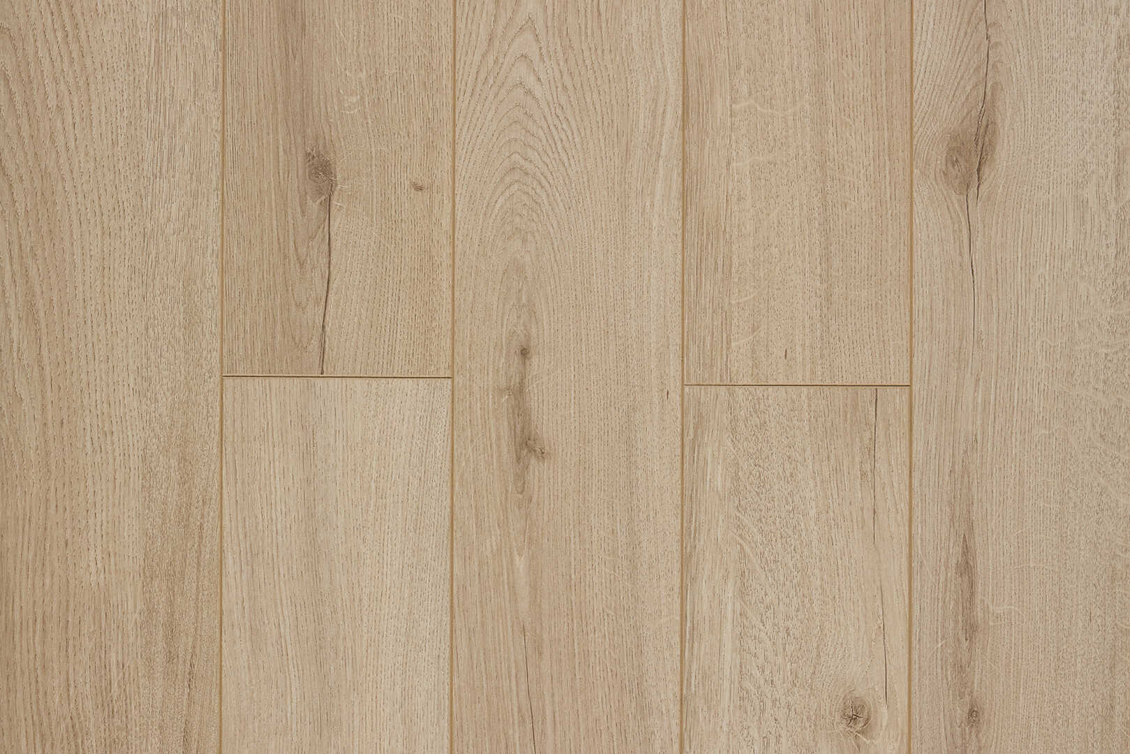 Дуб Альбаро