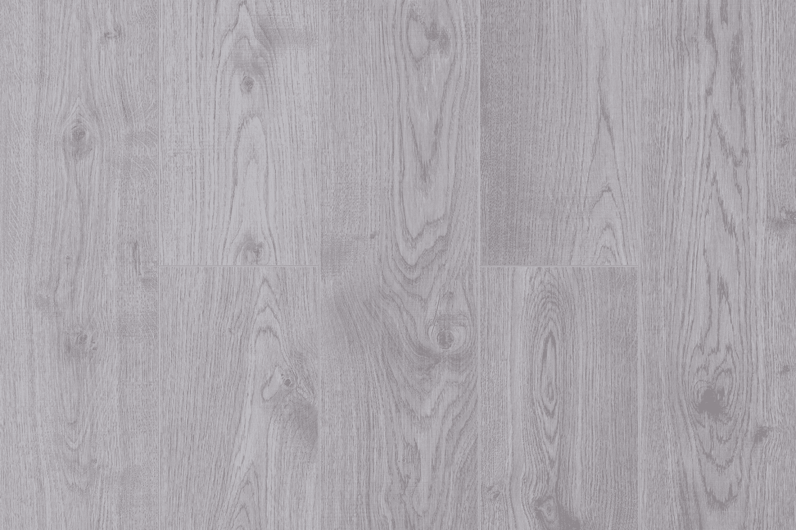 Дуб Барбарино