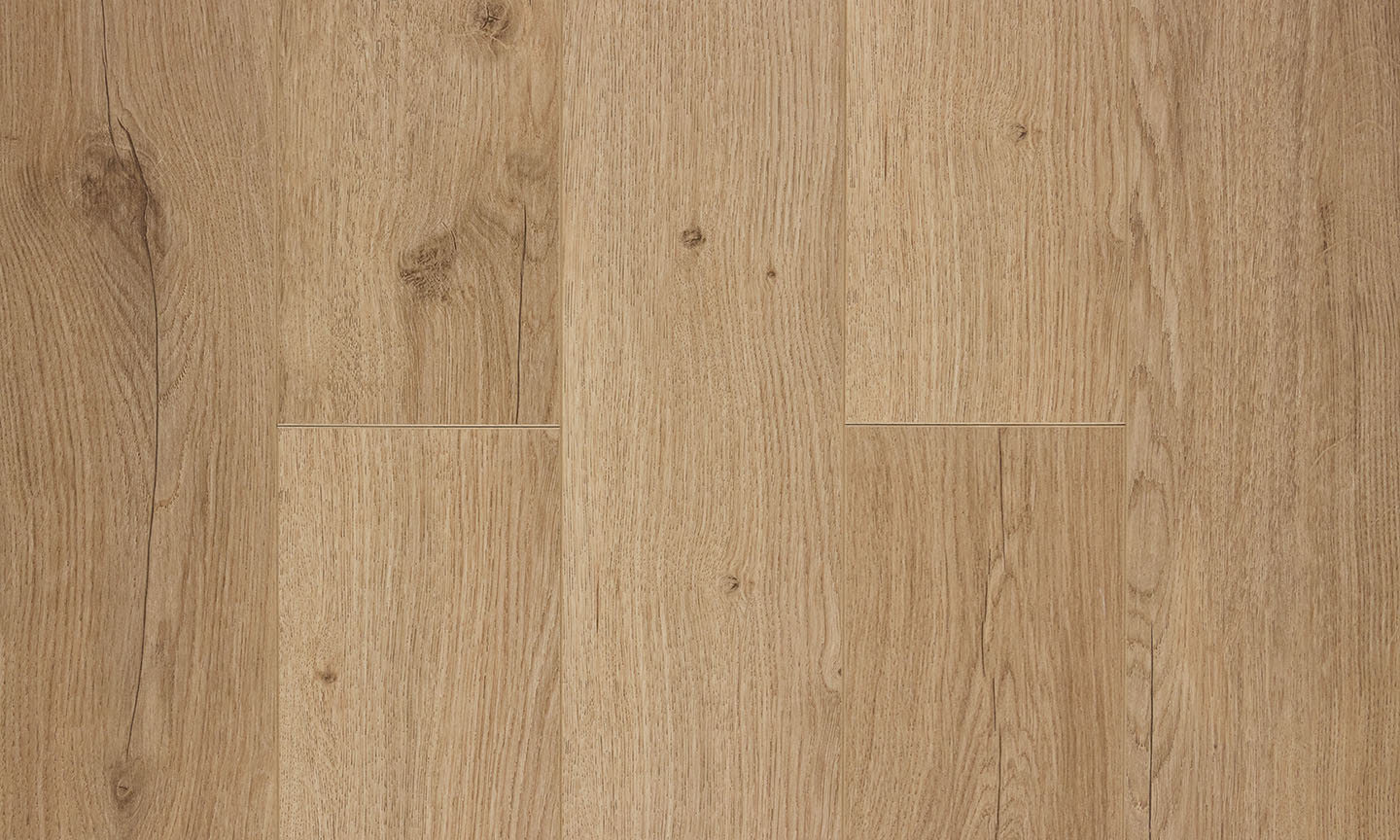 Дуб Салентино 96