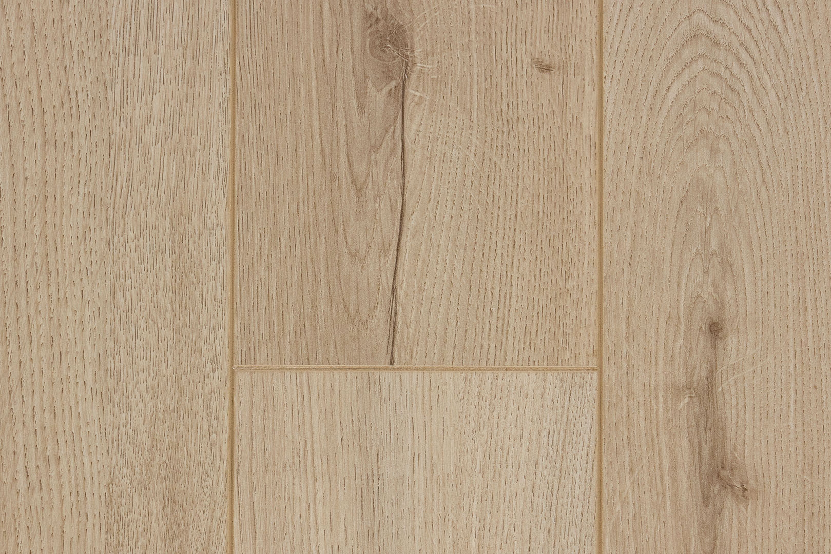 Дуб Альбаро