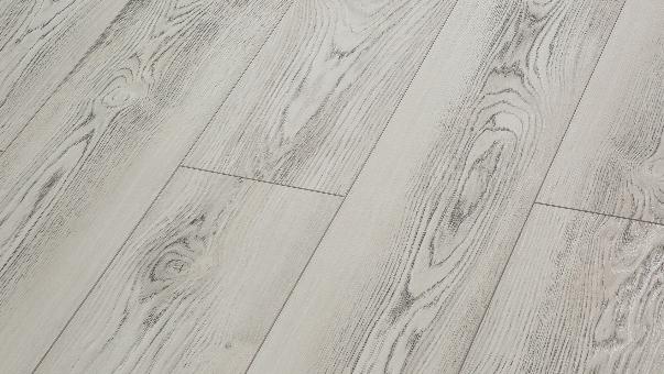 Клен Модена