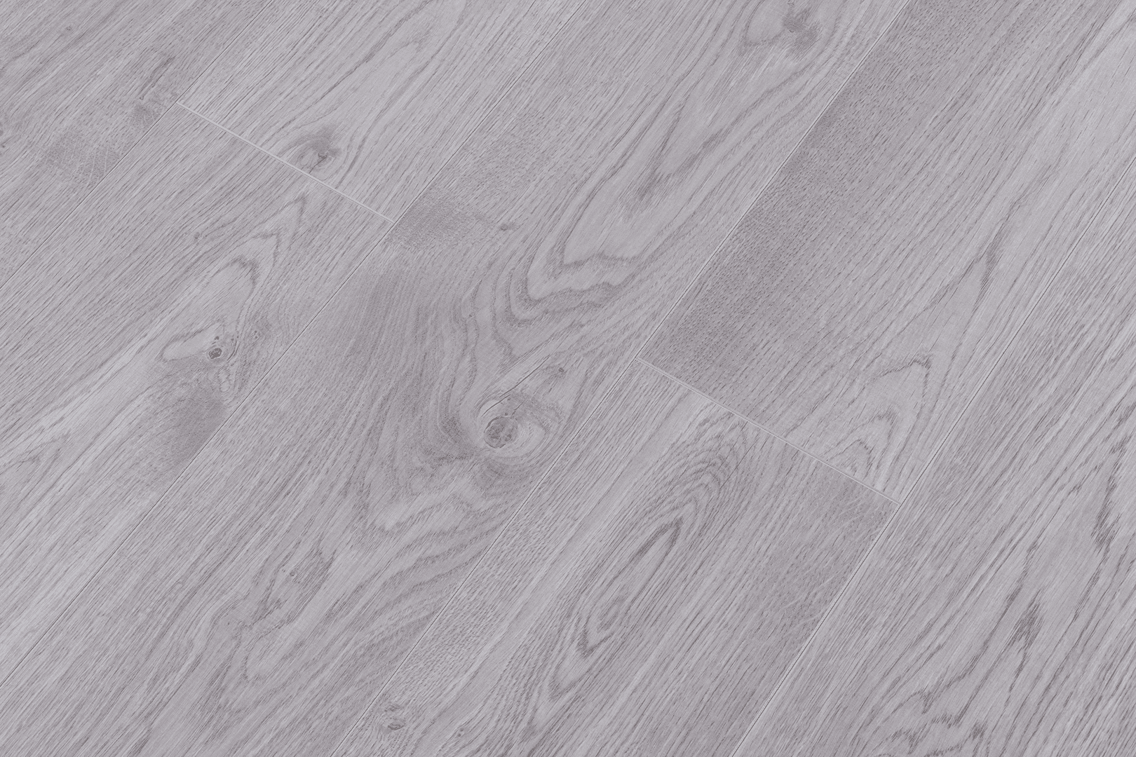 Дуб Барбарино