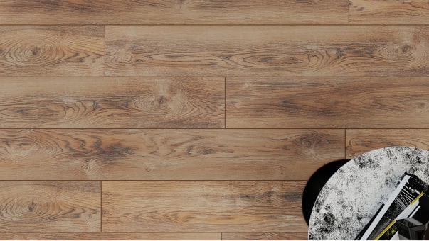 Вишня Контарини