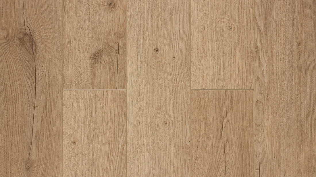 Дуб Салентино 300