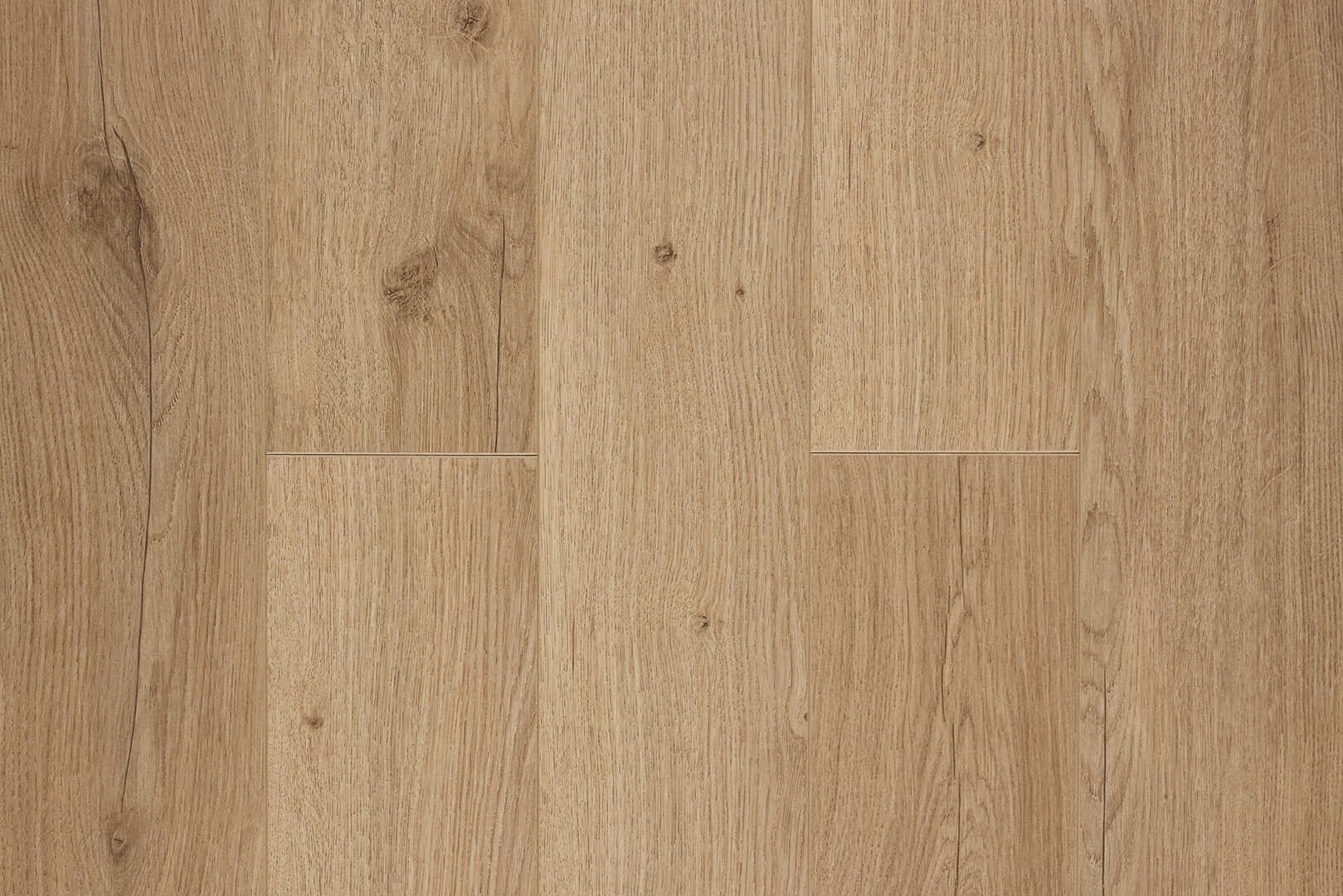 Дуб Салентино